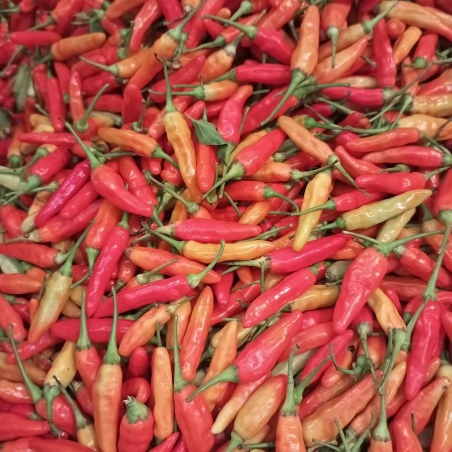 

Cabe Rawit Merah 150Gr Fresh Petik Dari Petani Barbosa