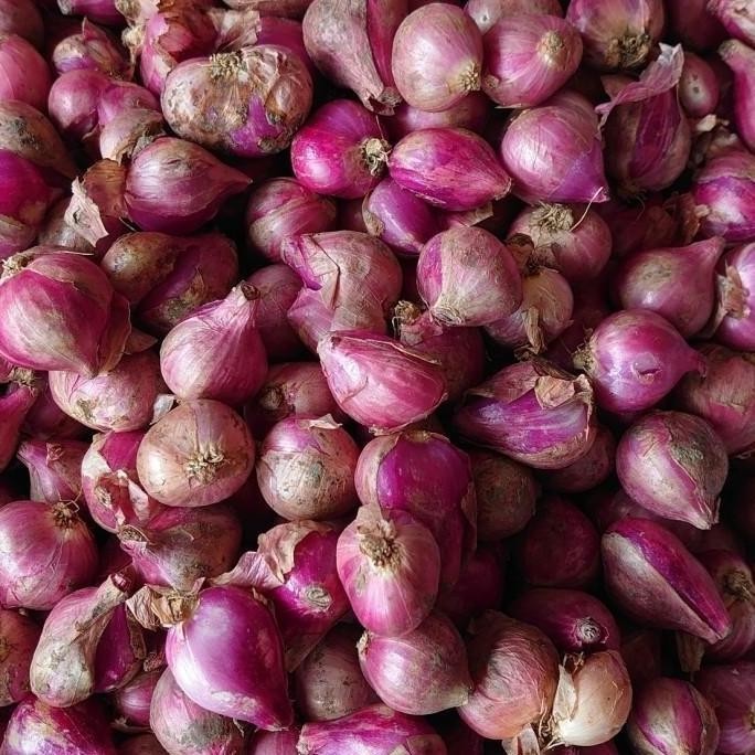 

BERKUALITAS Bawang Merah Sedang 1 Kg Berkwalitas Kering - Shuffel MURAH