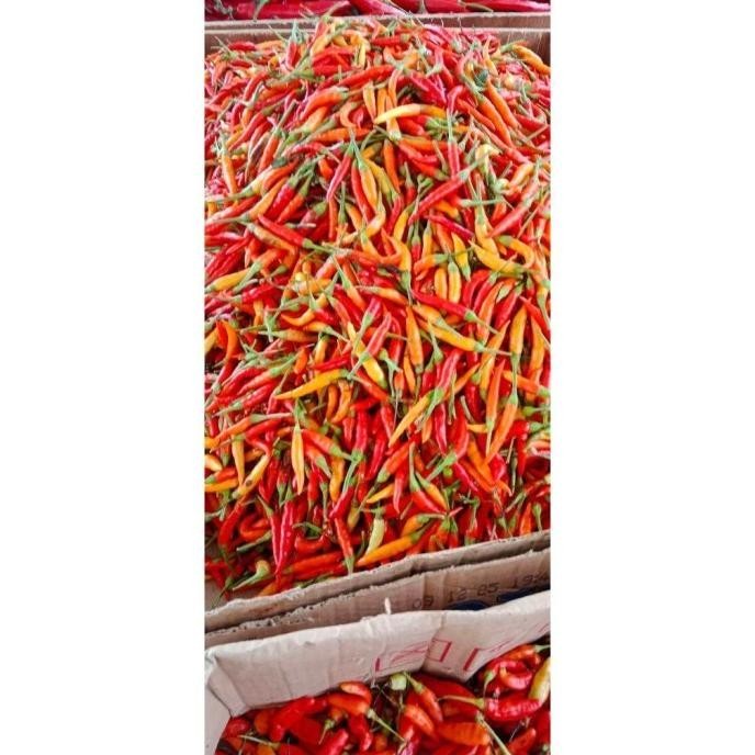 

BERKUALITAS Bawang Putih 250 Gr + Bawang Merah 250 Gr Bonus Cabe 150Gr - Shuffel MURAH