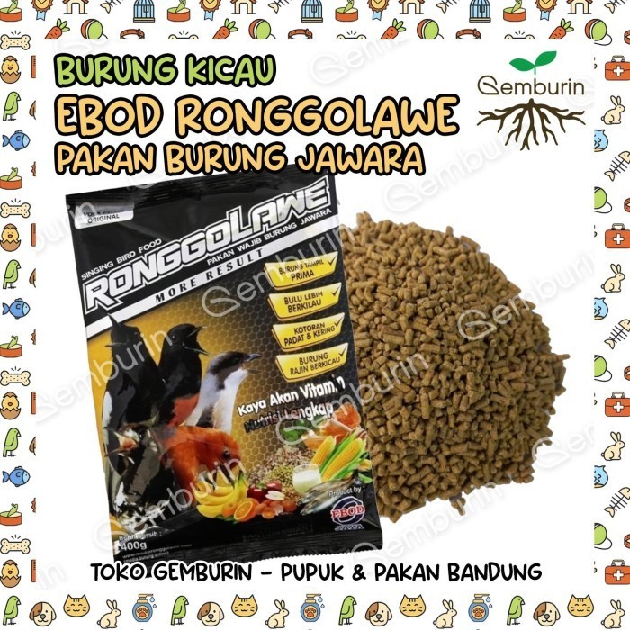Ebod Jaya Ronggolawe 400gr Pur Voer Pakan Burung Anis Murai Cucak Kicau Nyaring Bertenaga Gacor Juar
