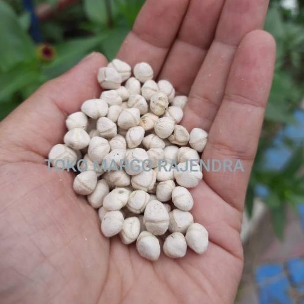 

BIJI KERNEL KELOR KUPAS 500GR SETENGAH KG RO23