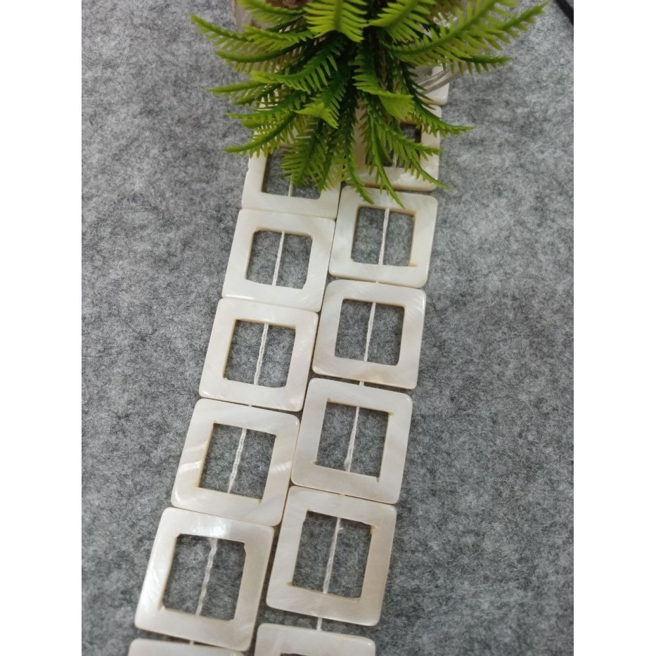 

yang dicari@@@@] KERANG PIPIH LUBANG KOTAK