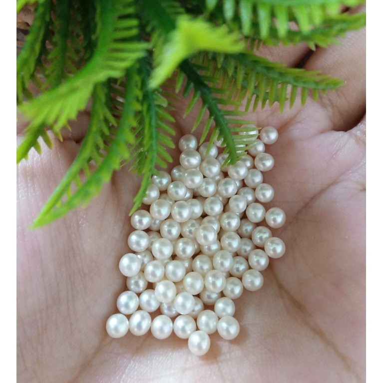 

```````] FRESHWATER PEARL ROUND 3MM WHITE