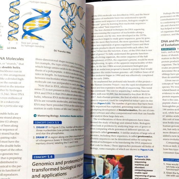 Buku Campbell Biology 12Th Edition By Urry Full Color