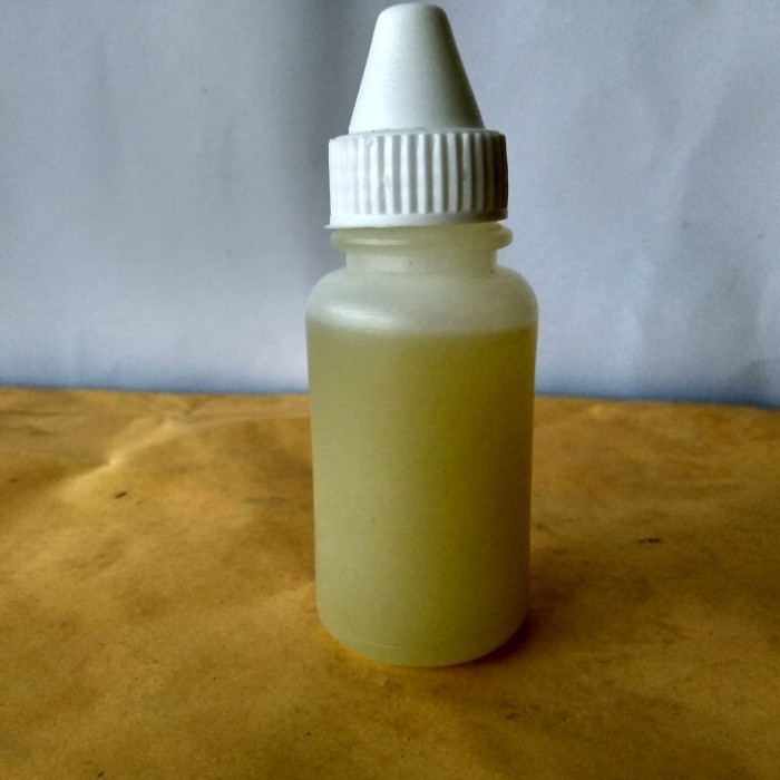 Essen Esen Umpan Ikan Mas Babon Ikan Indukan Esen Oplosan Dijamin Joss