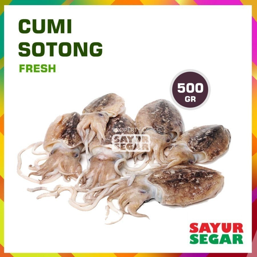 

Cumi Sotong 500G