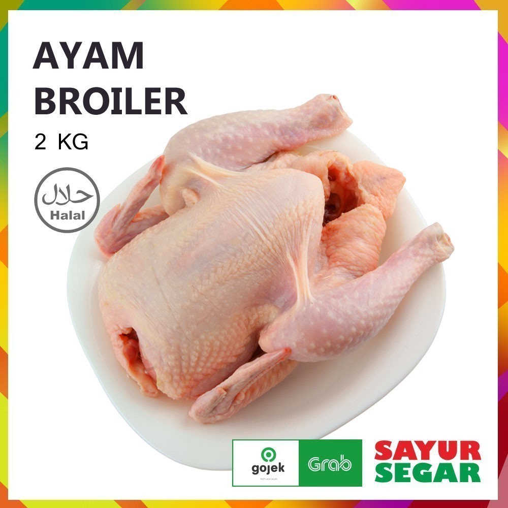 

Ayam Utuh 2Kg 1 Ekor Fresh Halal