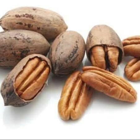 

Adlian Pecan Nut 50Gram / Kacang Pecan 50Gram