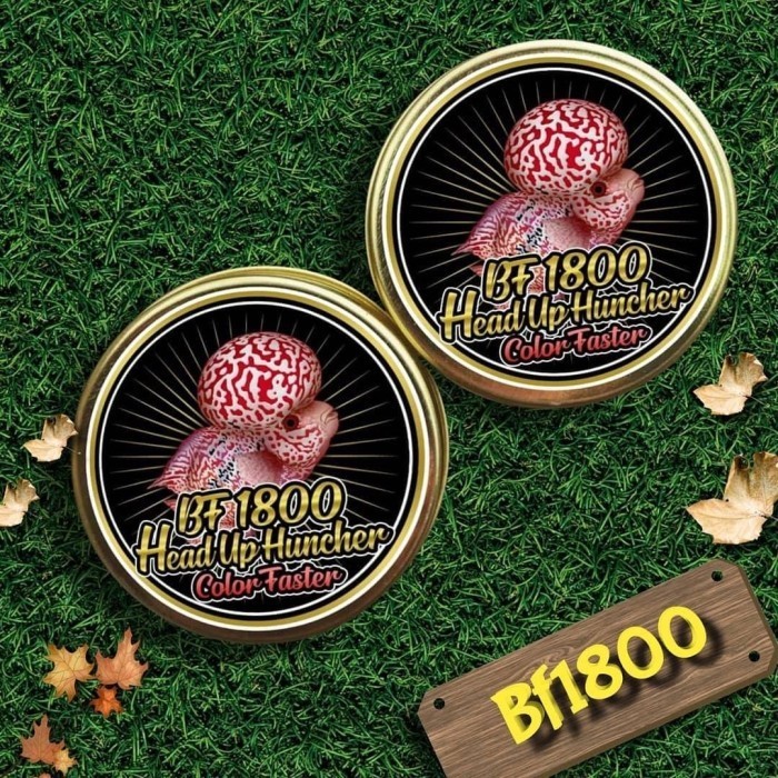 PELET BF 1800 & BF 800 STRONG COLLOR WARNA BIG HEAD KOK PAKAN LOUHAN