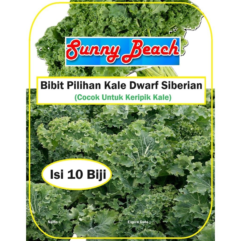 Bibit Pilihan Kale Dwarf Siberian Cocok Untuk Keripik Kale|Biji Benih Kale Dwarf Siberian