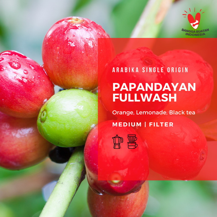 

Arabika Garut Papandayan 200 Gr Roast Bean Coffee - Kopi Biji Matang