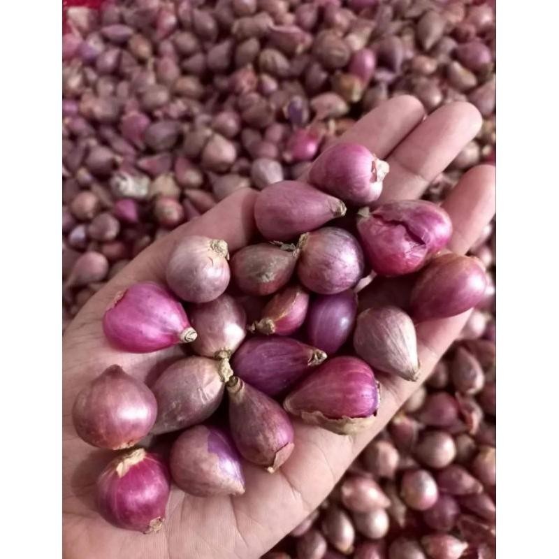 

Bawang merah kecil murah berkualitas|Bawang merah asli Nganjuk/bumbu dapur|berkualitas & kering Super Besar Berkualitas