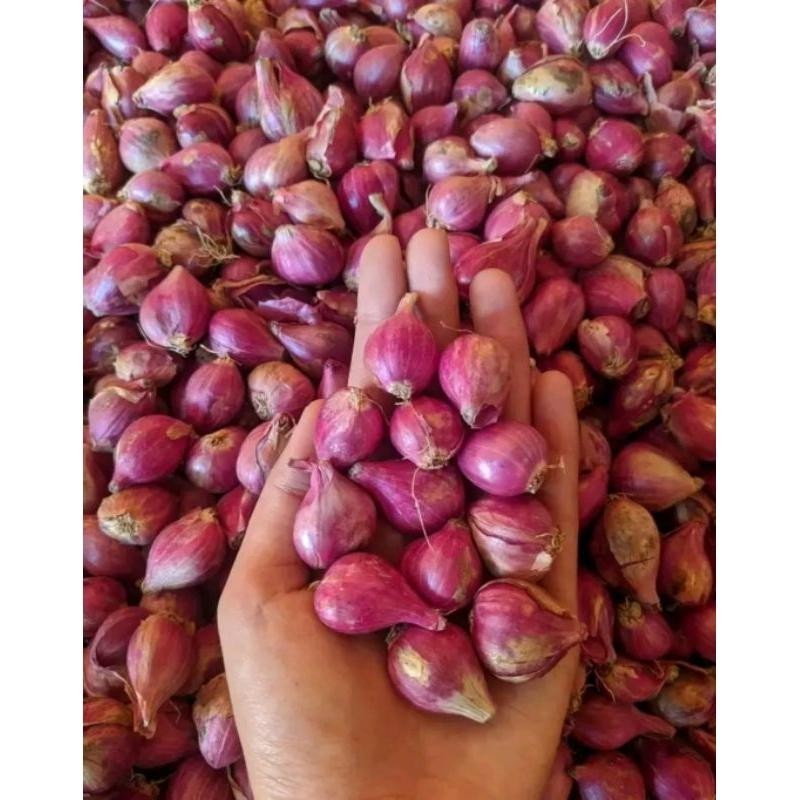 

Bawang merah murah 1kg/paling murah/bumbu masak/butuhan dapur |BAWANG MERAH Super Besar Berkualitas