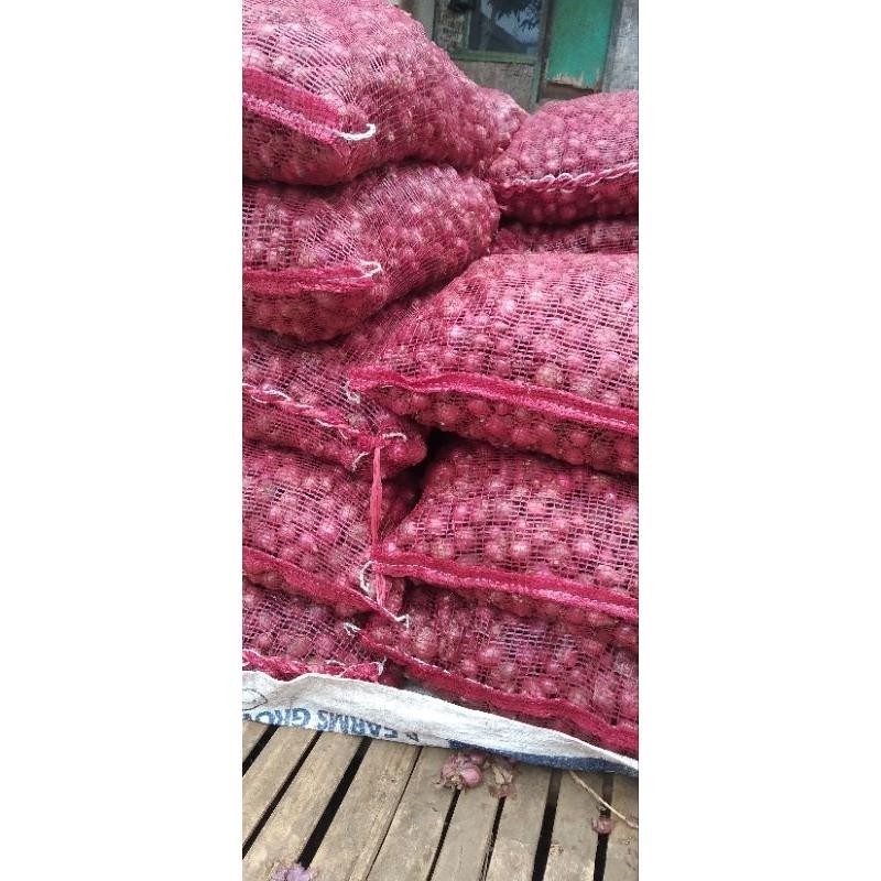 

bawang merah super 1 kg Super Besar Berkualitas