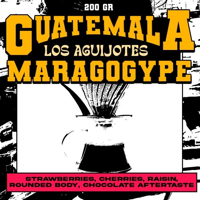 

Ready Biji Kopi Arabika - Guatemala Maragogype Los Aguijotes - 200 Gr