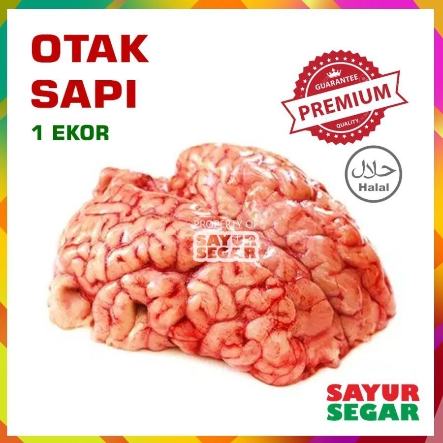 

Otak Sapi Segar [1Pcs] Premium