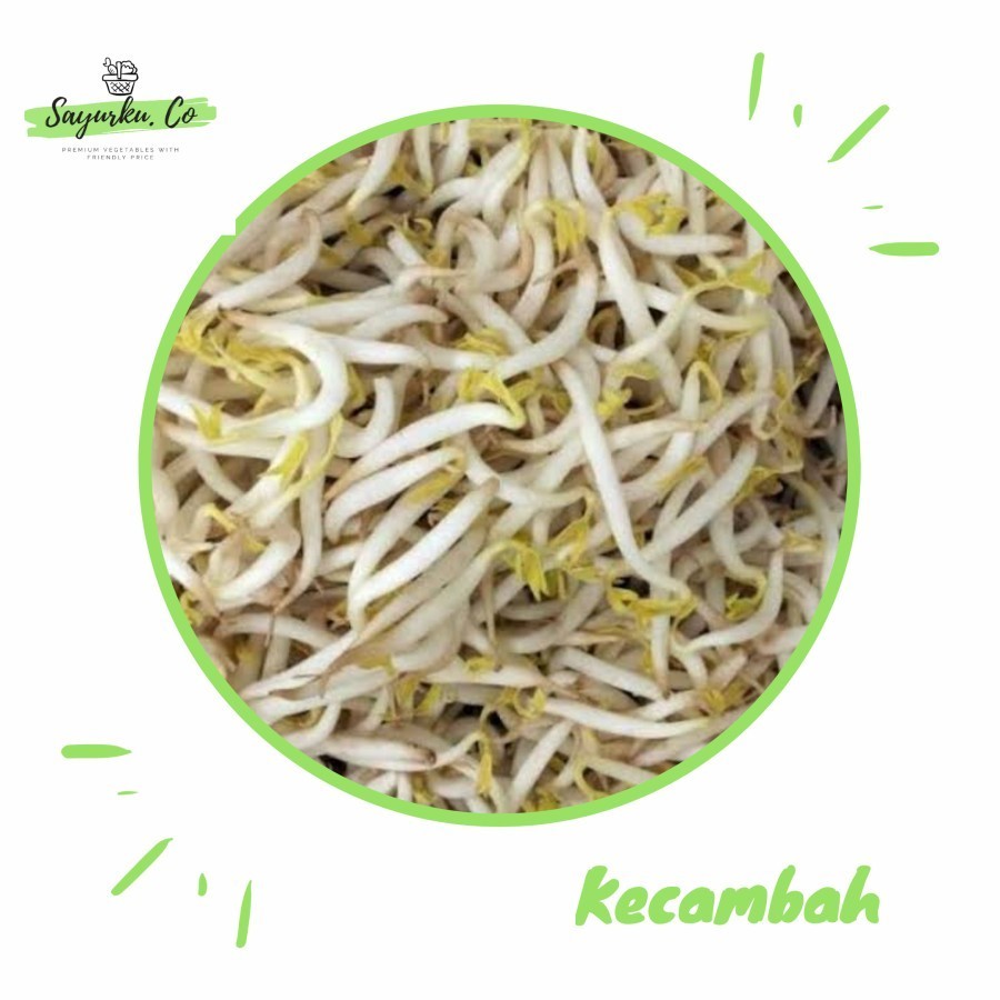 

Kecambah Tauge Panjang 250 gr/ Sayuran Segar