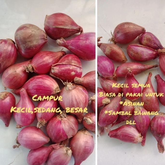 

READY STOCK BAWANG MERAH BREBES 1KG # TERMURAH !!!!!
