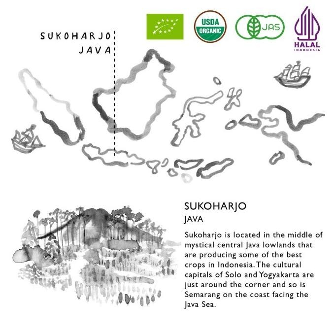 

BIG SALE EAST JAVA & CO ORGANIC GROUND TURMERIC - 45G (BUBUK KUNYIT ORGANIK) !!!!!