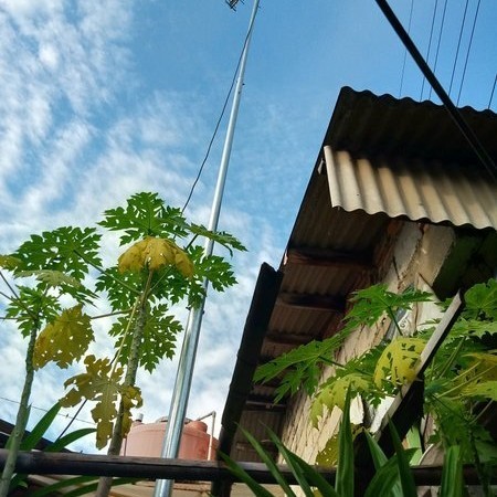 Tiang Antena TV ANTIGO 600cm