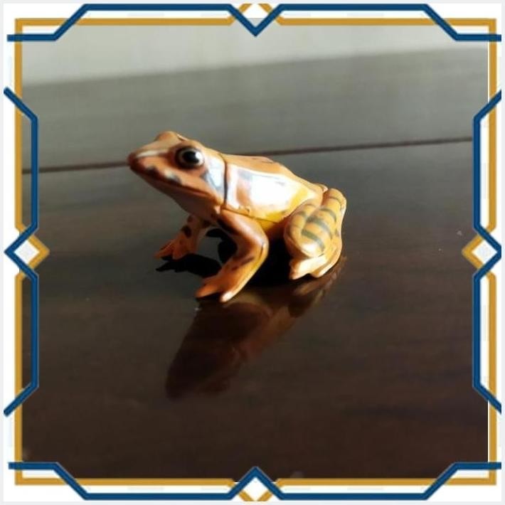 

[jsh] katak coklat. furuta. kapsul