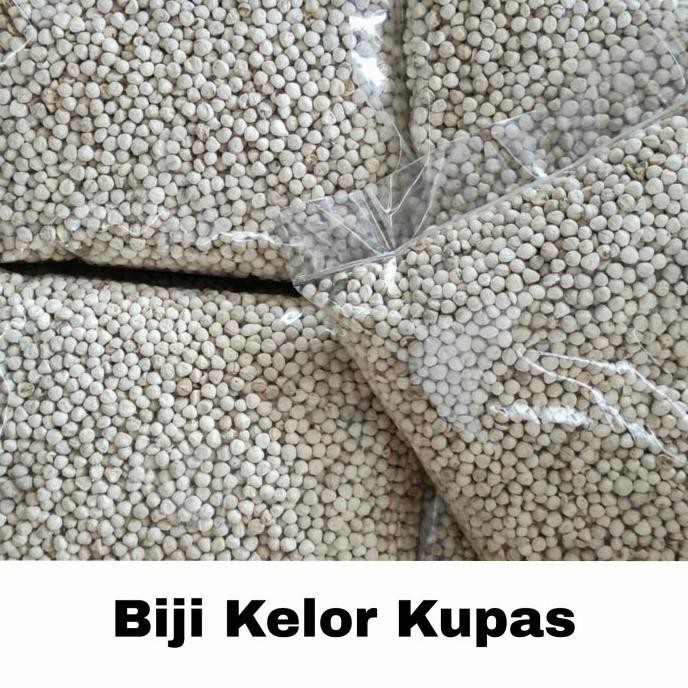 

biji kelor kupas 1kg Best Seller