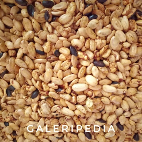 

Promo Kacang Sengon Peundeuy Kedaung 1KG Diskon