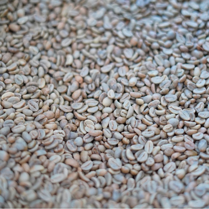

Kopi Arabika Kyoho Red Grapes Specialty Coffee Arabica