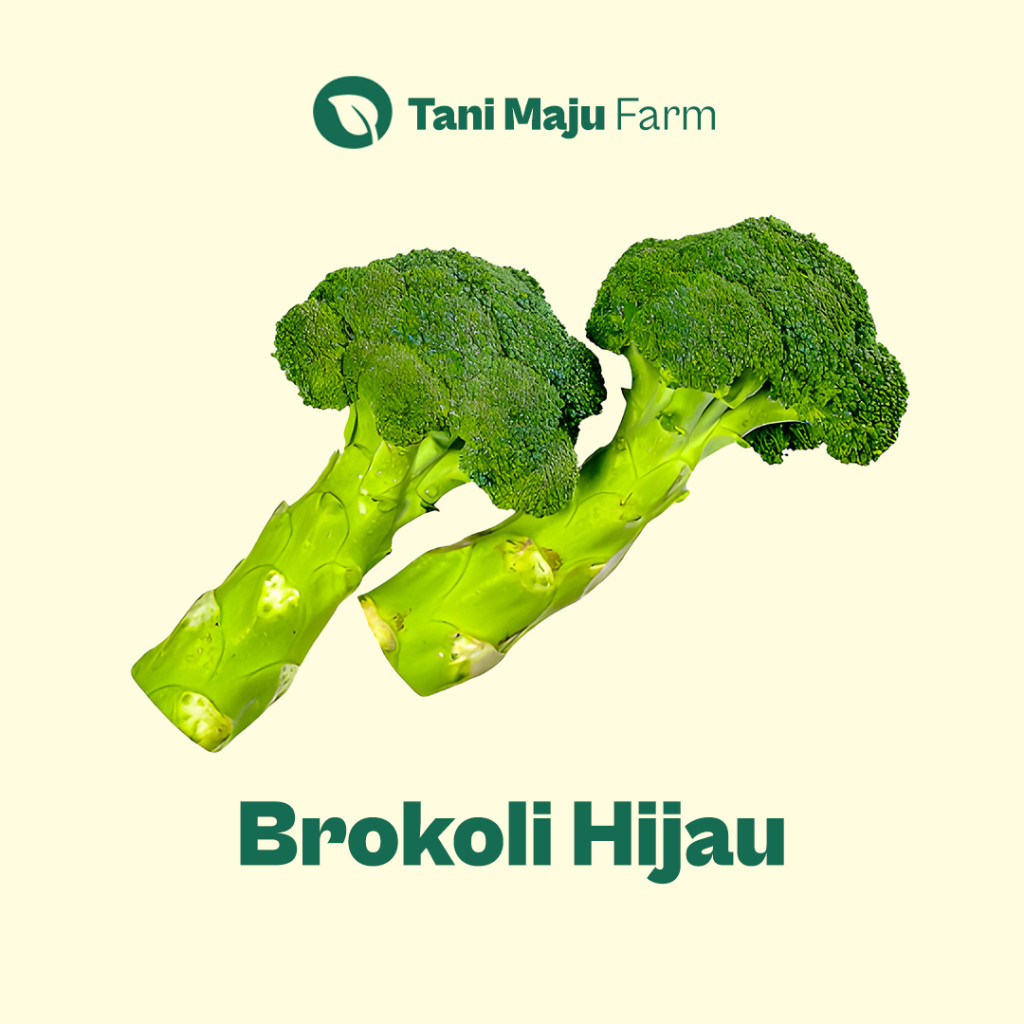 

Brokoli Hijau Broccoli Fresh Organik (500 gram) - Sayuran