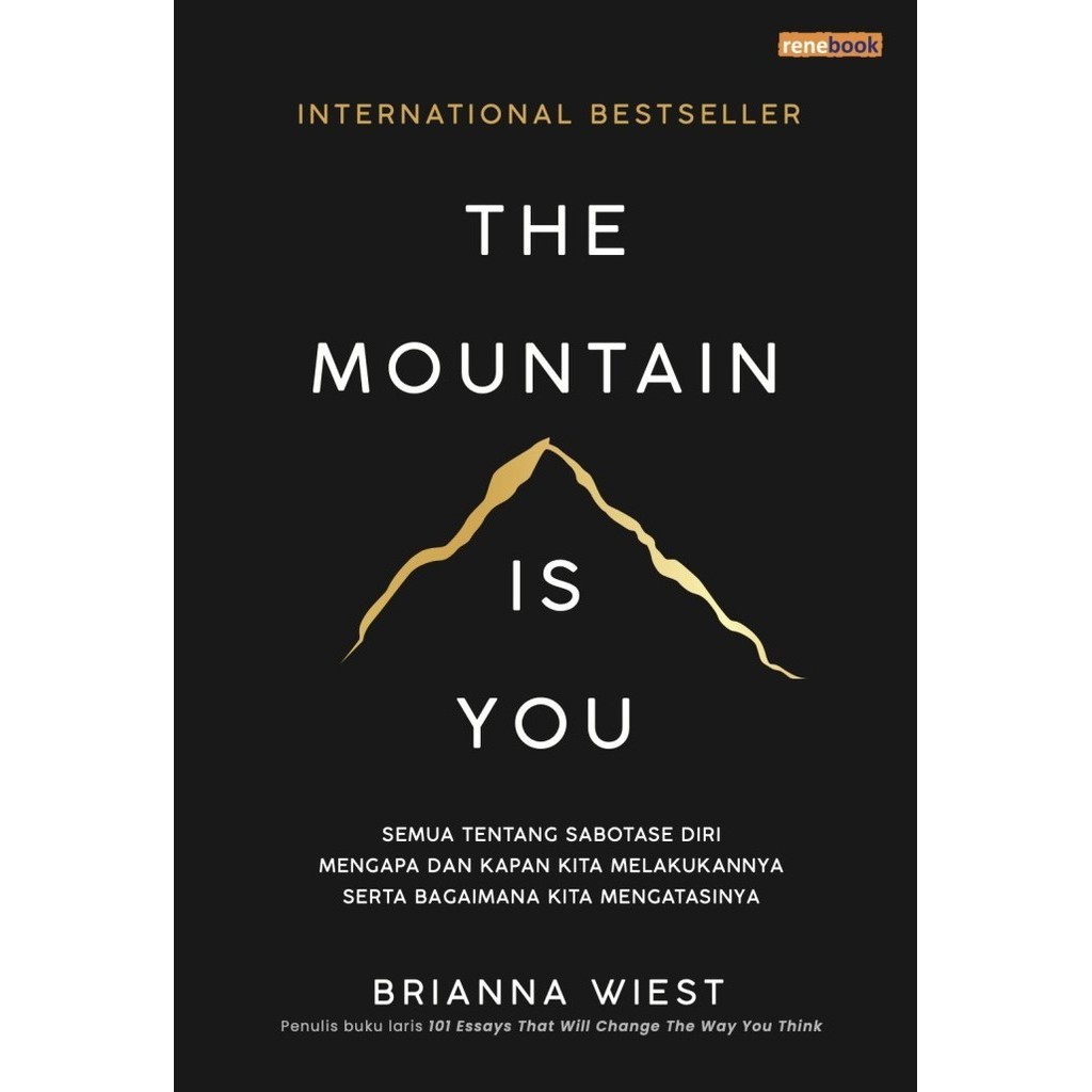 Buku The Mountain Is You - Brianna Wiest
