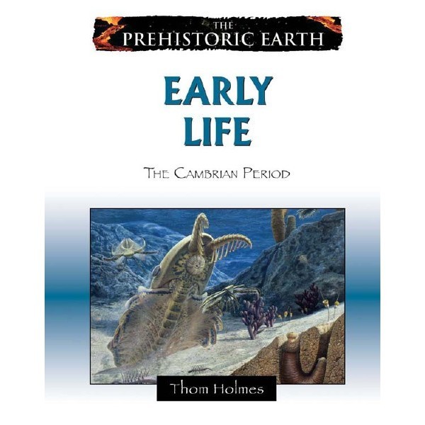 

The Prehistoric Earth - Early Life - The Cambrian Period ( D )