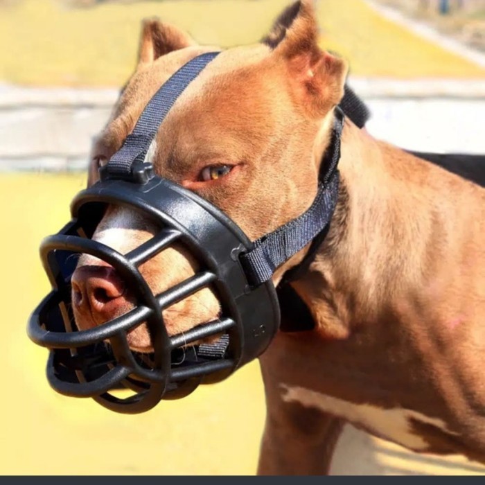 Penutup Mulut Anjing Besar Brongsong Mulut Anjing Dog Muzzle
