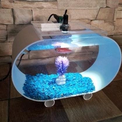 Aquarium Ni Ikan Cupang Akrilik Fullset Bergaransi