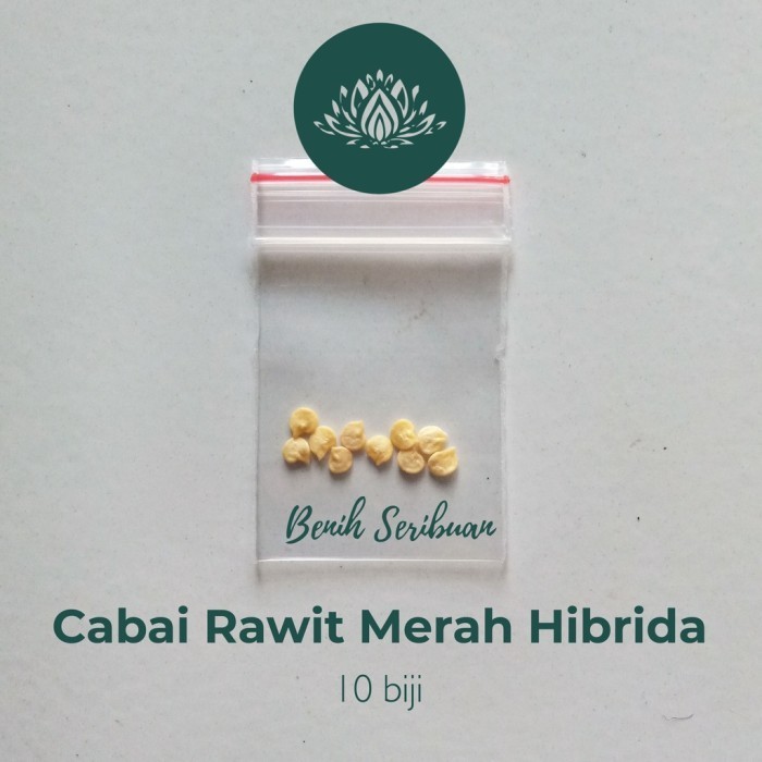 SALE 10 BIBIT CABE RAWIT HIBRIDA F1 LENTERA BENIH CABAI RAWIT MERAH SETAN