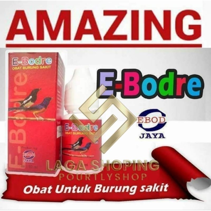ebodre obat burung murai serak gacor e bodre by ebod jaya Lampam ID