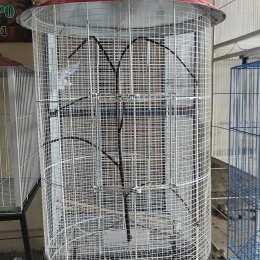 Kandang Koloni Burung Loved Kenari,