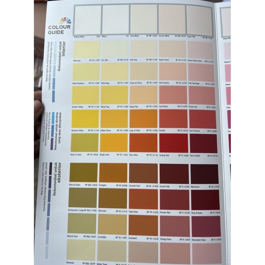 CAT VINILEX PRO 1000 22,5 KG / 9102 WHITE PUTIH