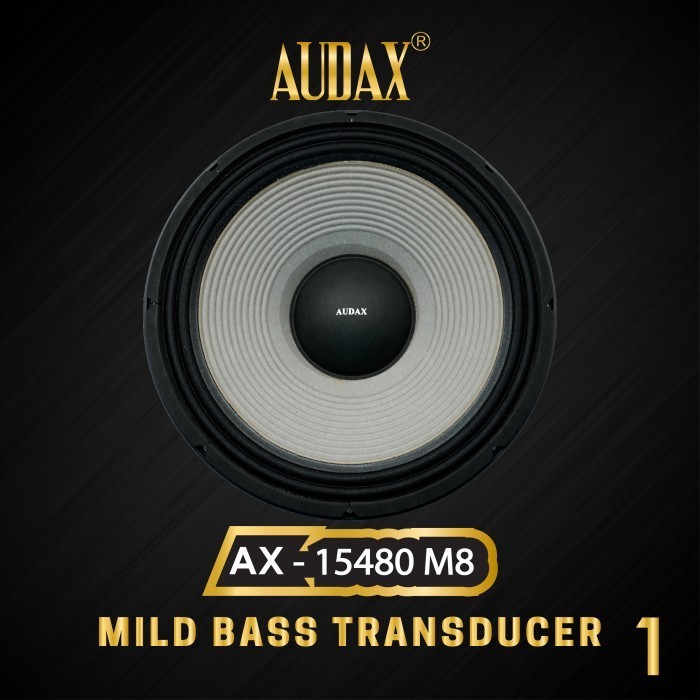 Speaker Pasif 15" Audax Ax-15480 M8 Mid & Bass Transducers