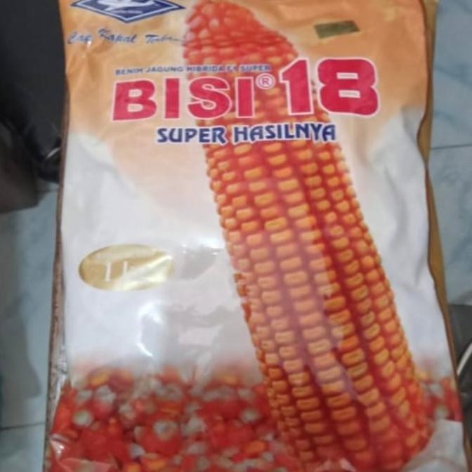 BEBAS ONGKIR - Benih jagung hibrida BISI18 1 kg jagung kuning bisi 18 kapal terbang