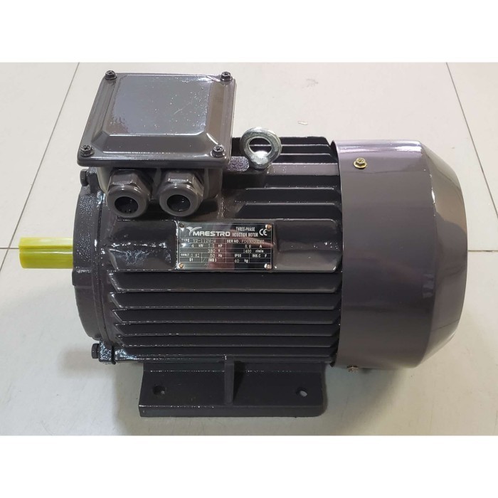 Sau Dinamo/ Elektromotor Maestro 5.5 Hp 3 Phase 4 Pole
