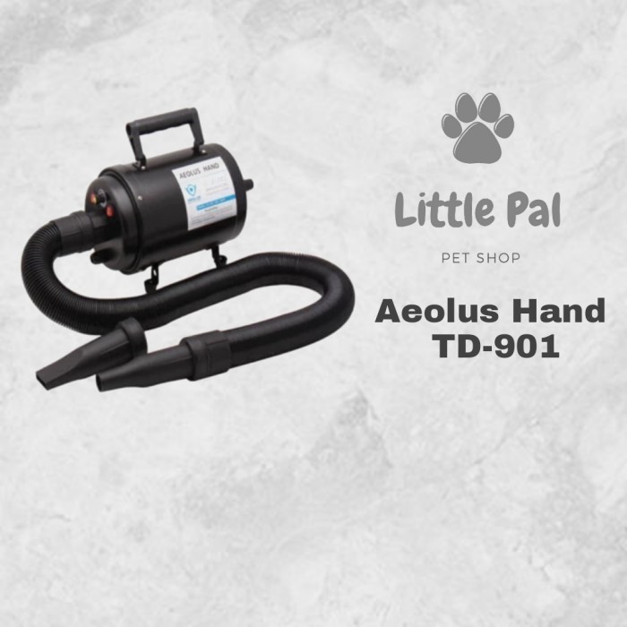 Aeolus Hand TD-901