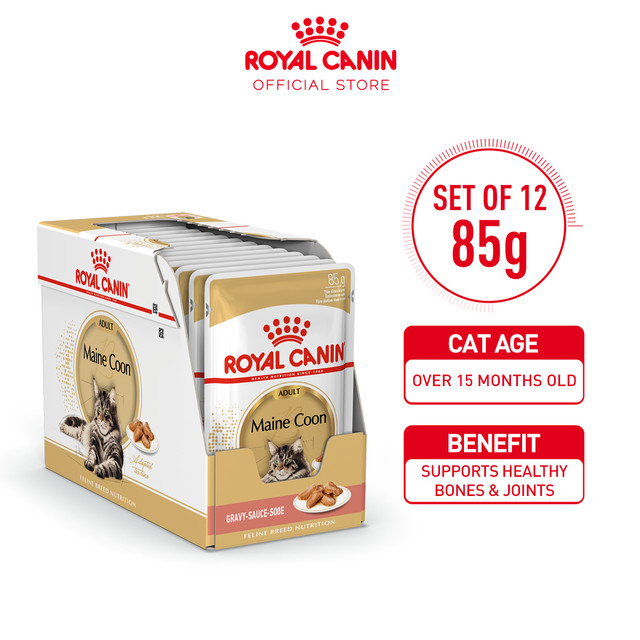 Royal Canin Adult Maine Coon Makanan Kucing Dewasa Maine Coon Wet 12x85gr - 1 Box