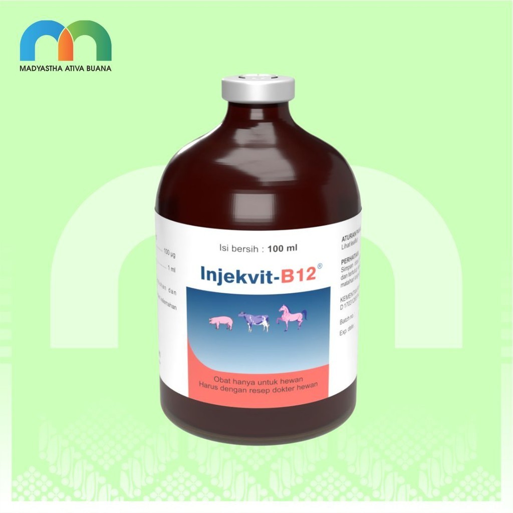 Inj Vit B12 Btl 100 Ml Medion Multivitamin Hewan Besar