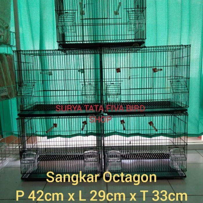 Sangkar Besi Octagon 1Dus Isi 6 Untuk Burung Kenari Blackthroat Finch