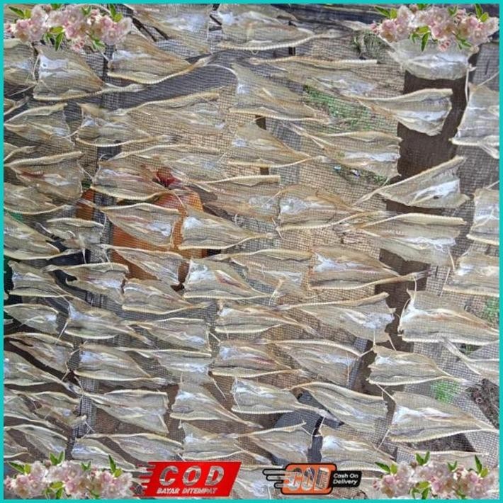 

BISMILLAH IKAN ASIN TIPIS TARAKAN 1KG TERMURAH ALISUP