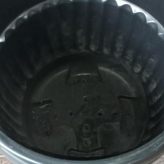 Pot Bunga Plastik Ukuran Besar 50 Sampai 65 Cm