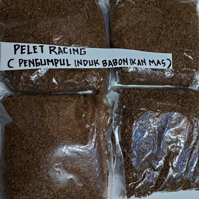 Pelet Racing Pengumpul Induk Babon Ikan Mas