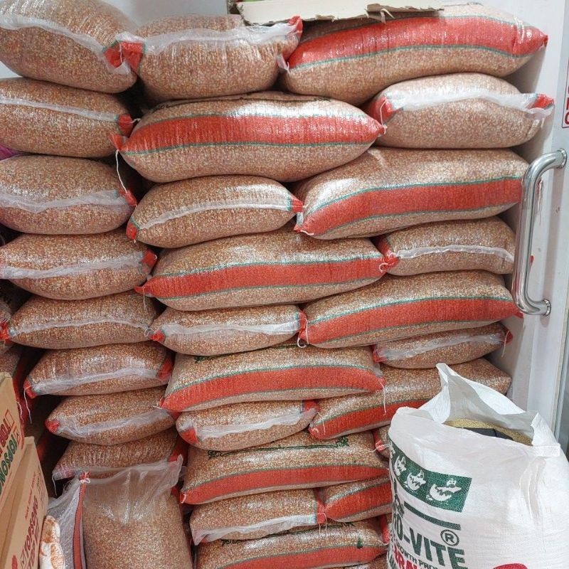 JAGUNG KRISTAL MERPATI 25kg JAGUNG BURUNG DARA .