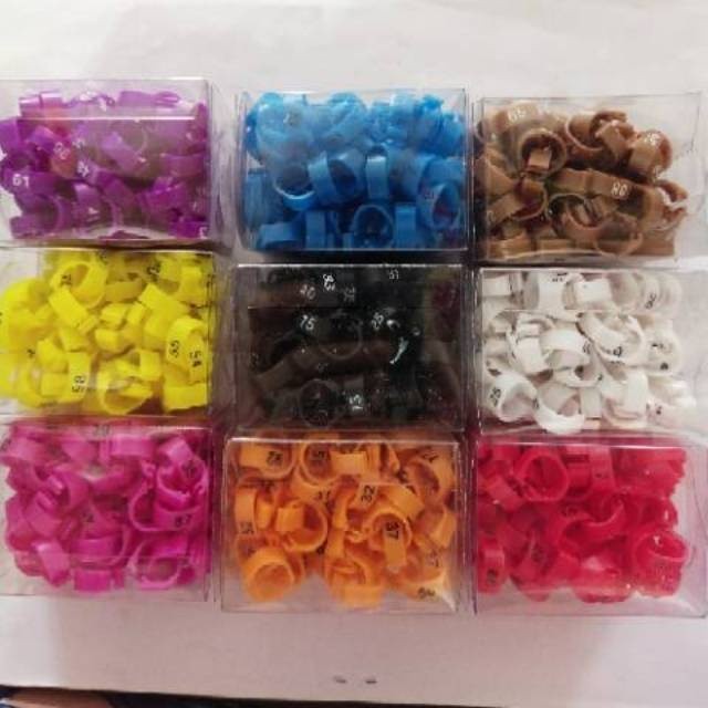 10 piece GELANG RING KLIP BURUNG DARA MERPATI POS