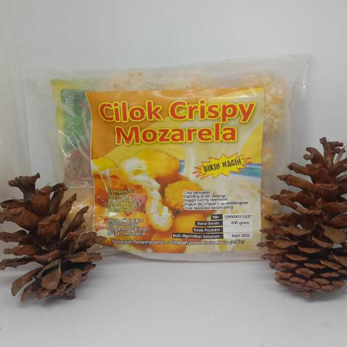 

Cilok crispy isi Mozzarella Bilqis isi 10 pcs